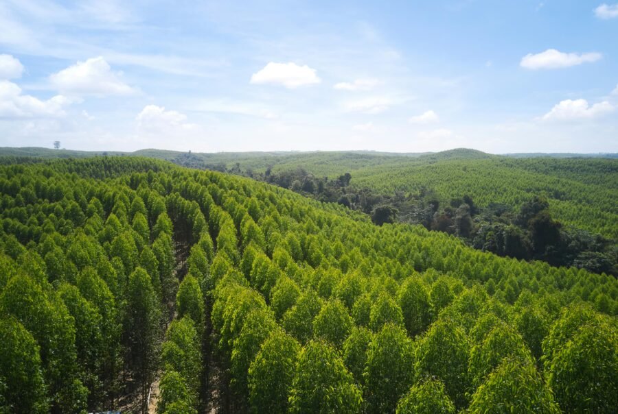 svg+xml;charset=utf — APRIL Asia