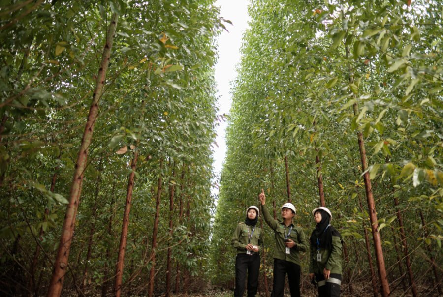 svg+xml;charset=utf — APRIL Asia