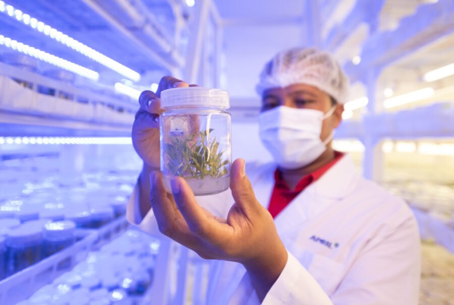 svg+xml;charset=utf — APRIL Asia