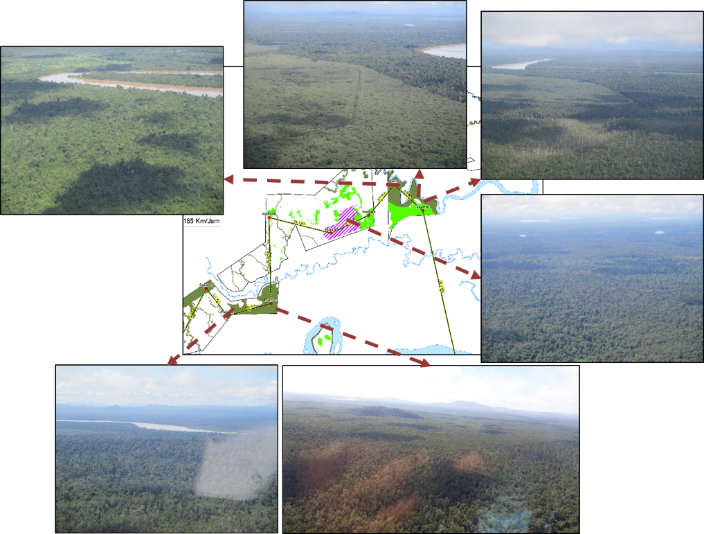 Picture 2 Aerial Survey — APRIL Asia