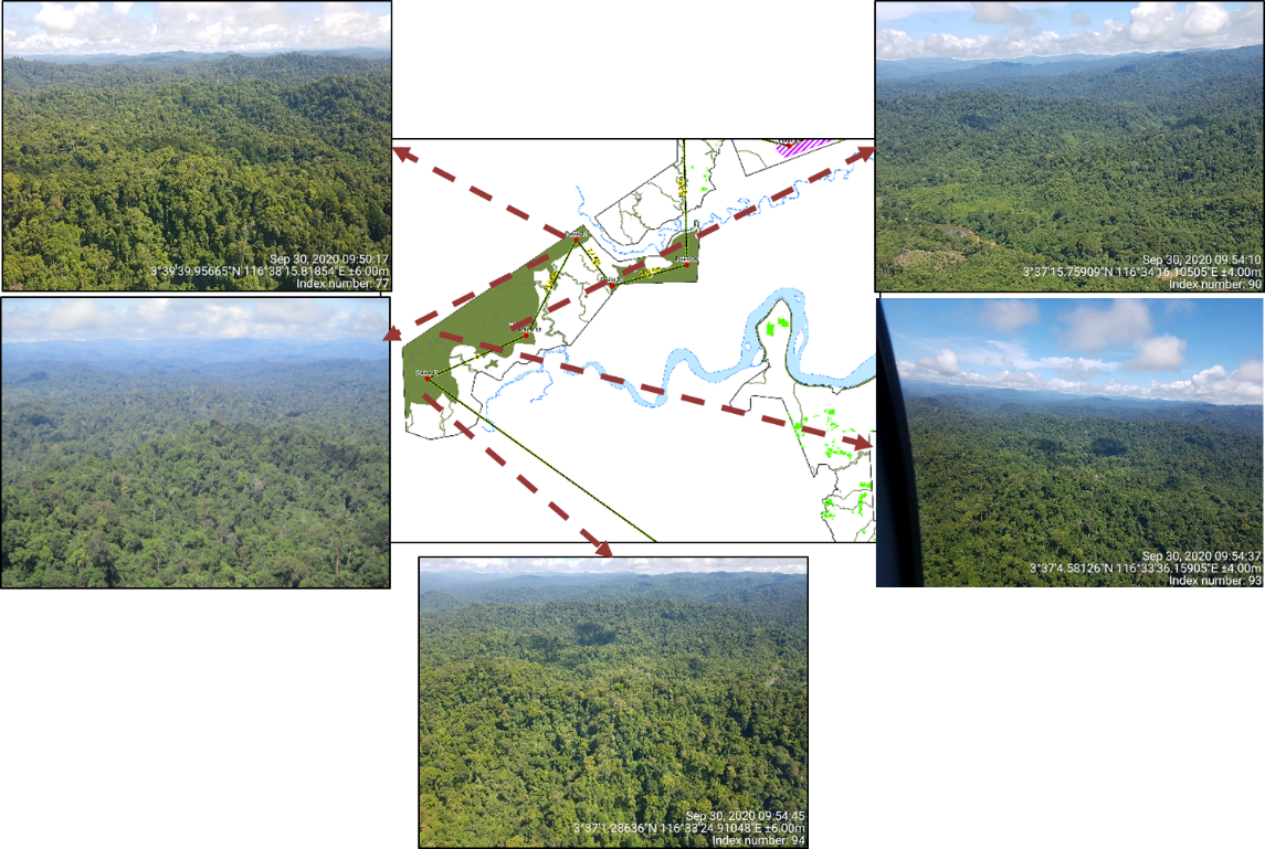 Picture 3 Aerial Survey — APRIL Asia
