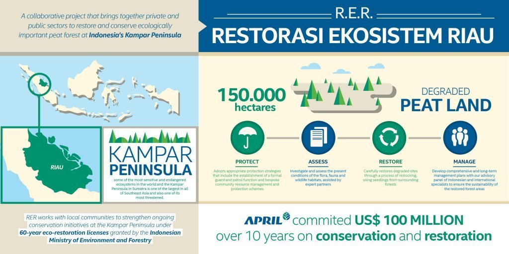 Restorasi Ekosistem Riau — APRIL Asia