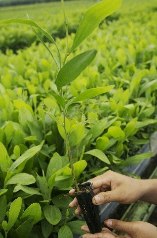 APRIL responds to SAC's recommendations