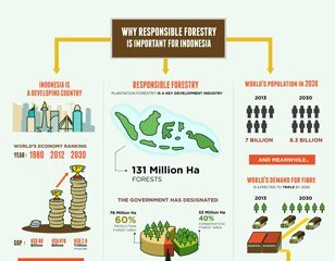 april dialog infographic responsible forestry thumb &mdash; APRIL Asia