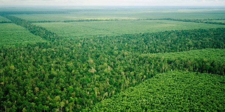 APRILDialog_Greenpeace-Claims-Untrue