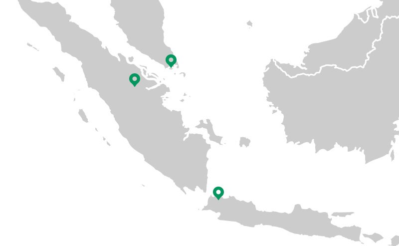 Canopy Ancient and Endangered Forests Indonesia