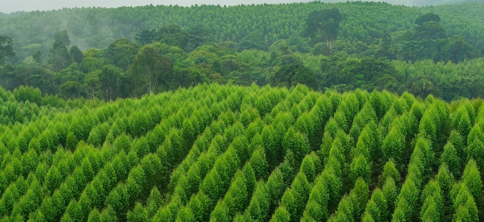 day1 2024 APRIL 021 — APRIL Asia