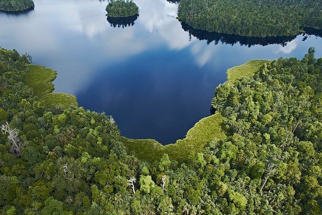 APRIL’s Sustainable Forest Management Policy commits the company to protecting forest with High Conservation Value.  Under the Policy, APRIL has conserved more than 250,000 hectares of prime forest.