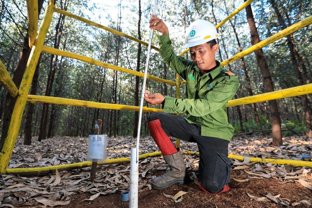 new research into temporal dynamics of ttropical peat subsidence published &mdash; APRIL Asia