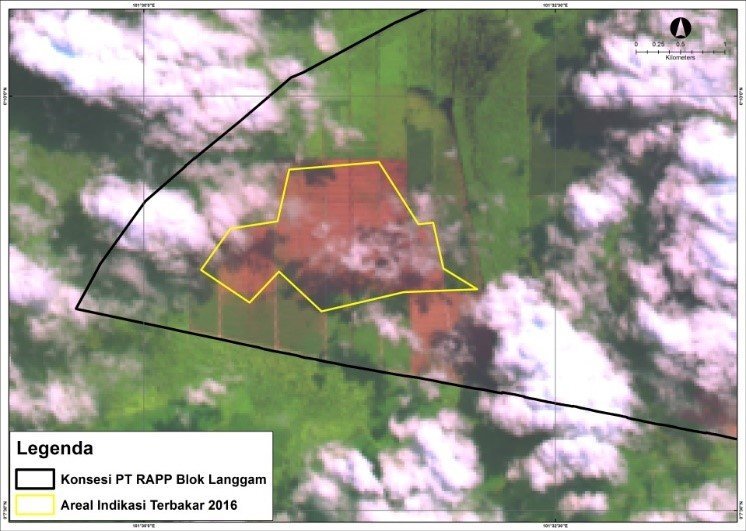 pt rapp langgam 02 &mdash; APRIL Asia