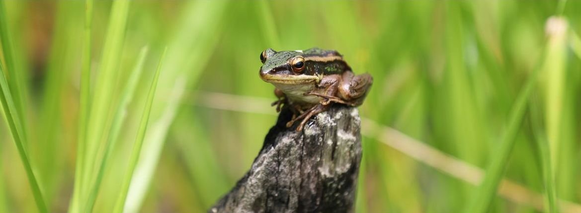 rer pr2020 &mdash; APRIL Asia