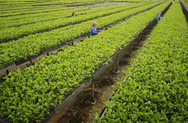 APRIL implements SAC's recommendations 