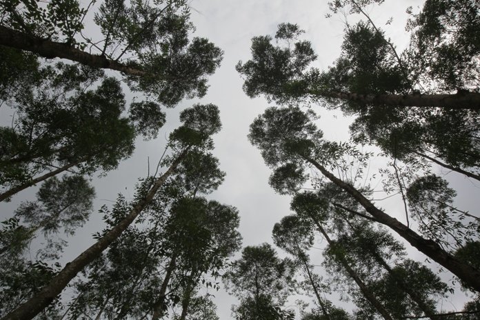 IMG 5437 &mdash; APRIL Asia