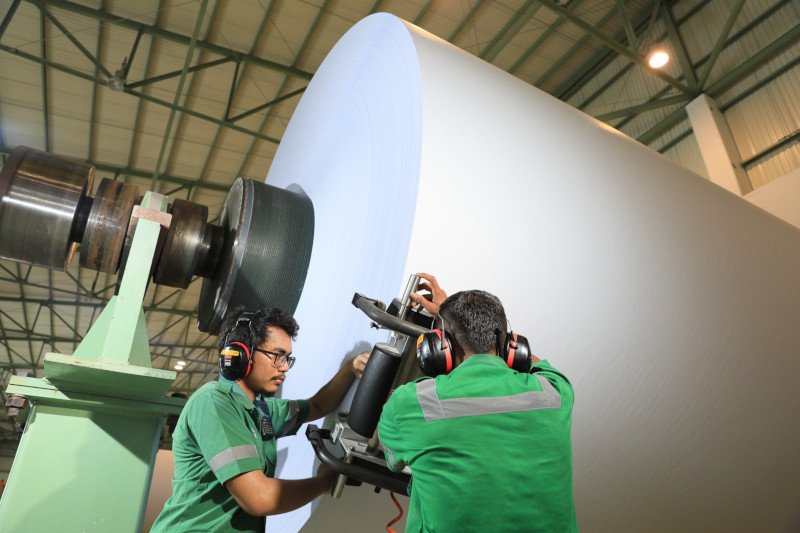 Jumbo Roll: Gulungan kertas raksasa di pabrik RAPP untuk diolah menjadi kertas dalam memenuhi berbagai kebutuhan digunakan