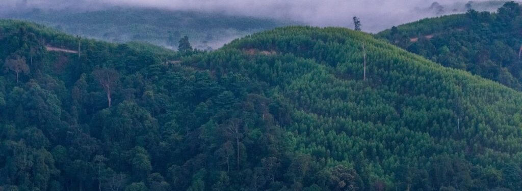 svg+xml;charset=utf — APRIL Asia