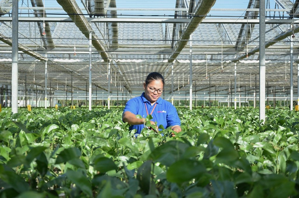 melisana — APRIL Asia