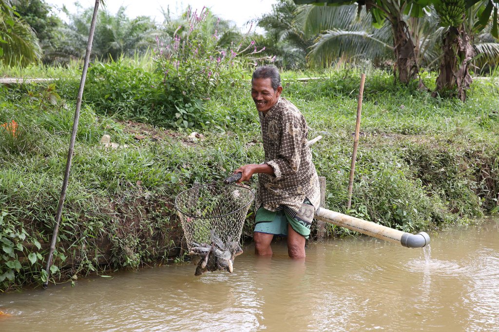 APR - Farming Systems & Techniques