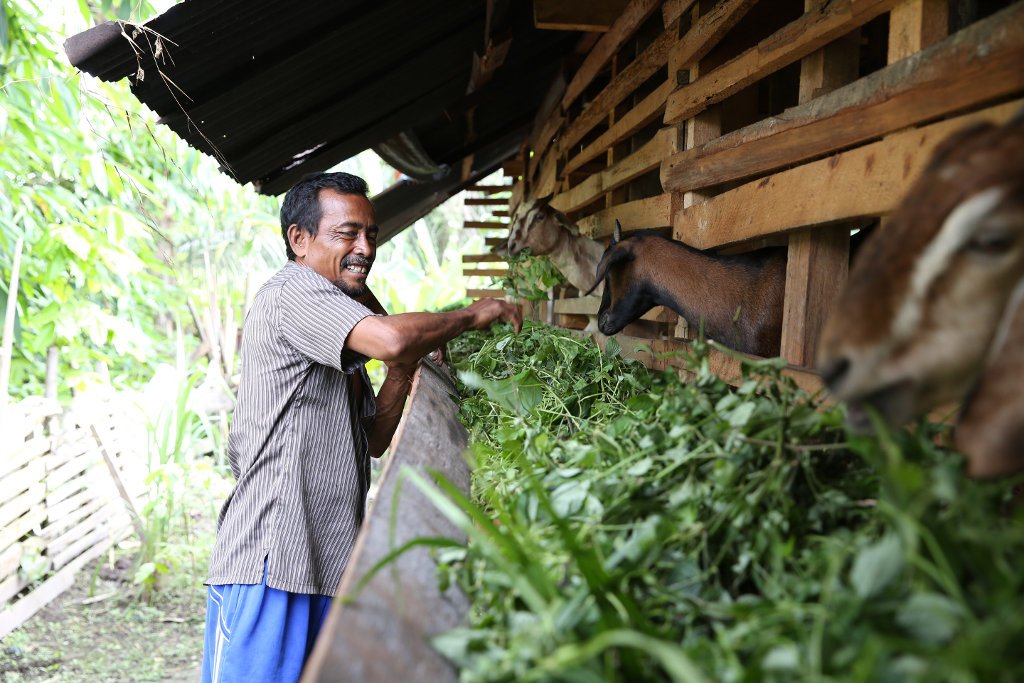 rge april berry csr goat farming &mdash; APRIL Asia