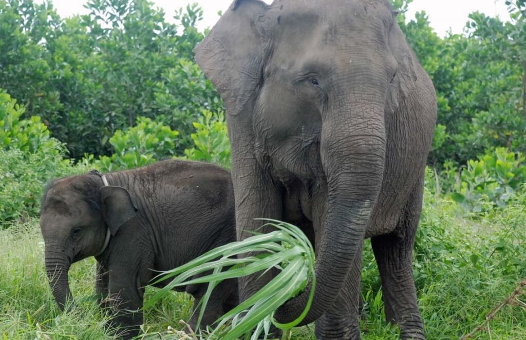 svg+xml;charset=utf — APRIL Asia