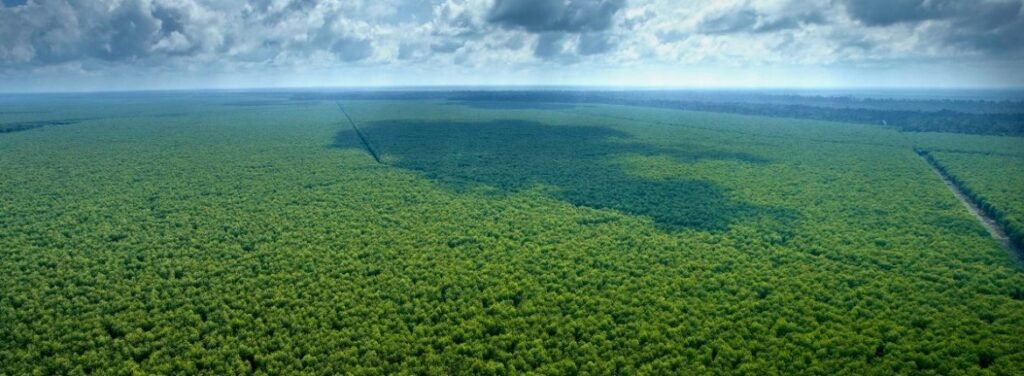 svg+xml;charset=utf — APRIL Asia